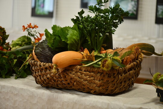 panier de l&eacute;gumes