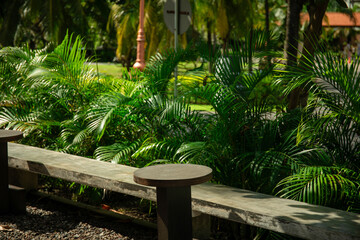 Relaxing spot surrounded by tropical plants in Bali during summer