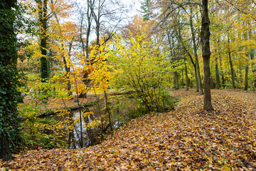 Spaziergang im herbstlich gef&auml;rbten Park