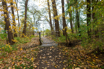 Spaziergang im herbstlich gef&auml;rbten Park