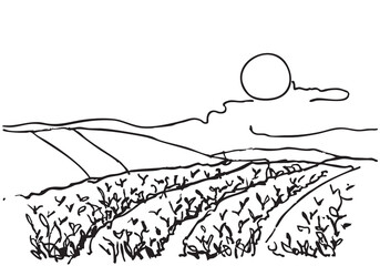 Fototapeta premium line sketch doodles harvest village fields