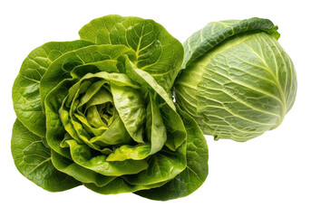 Obraz premium Fresh green garden vegetables display vibrant textures and colors against a dark background