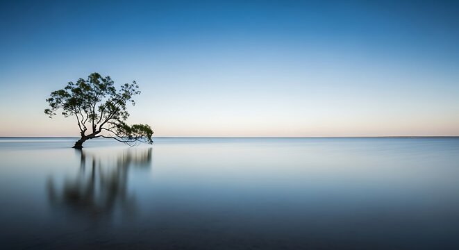 Minimalist landscape with a lone tree in calm water under a blue sky