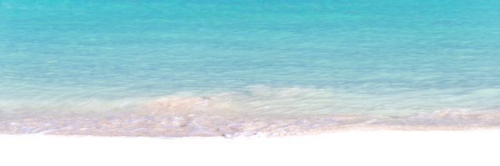 Panorama of caribbean sea, tropical beach and ocean, travel and beach vacations header isolated on white or transparent background, png cut out