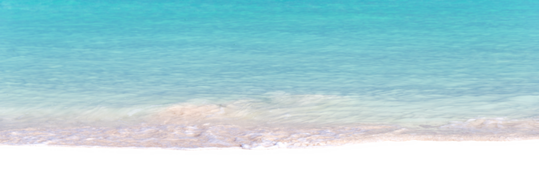 Panorama of caribbean sea, tropical beach and ocean, travel and beach vacations header isolated on white or transparent background, png cut out - Powered by Adobe