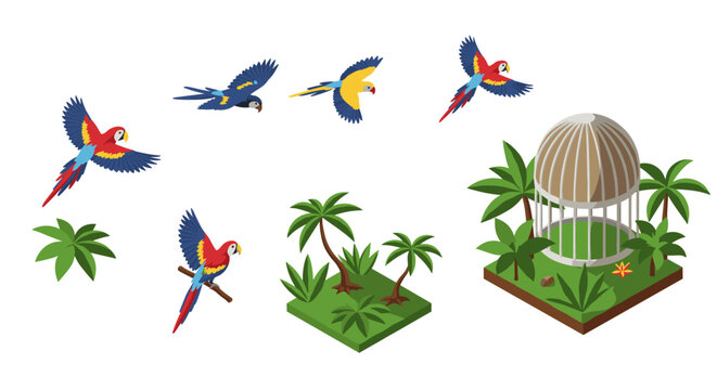 Colorful parrots flying in isometric jungle scene with palm trees and aviary