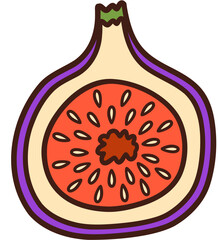 Simple Fig Hand Drawn Vector Illustration