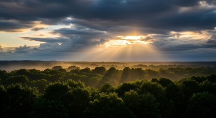Obraz premium Majestic sunrise over lush forest with dramatic clouds and sun rays illuminating the horizon