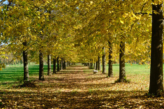 The Monza park at October