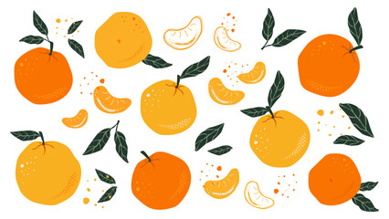 Set of Hand Draw Tangerines or Oranges. Abstract drawing of citrus fruits with leaves and slices on a white background. Vector