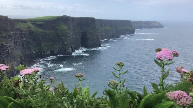 Scenic coastal cliffs with vibrant flowers, camera pans across breathtaking ocean view