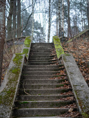 Old Weathered Concrete Staircase Covered in Moss and Fallen Leaves Leading Up Through a Forested Hillside, Creating a Rustic and Atmospheric Outdoor Scene
