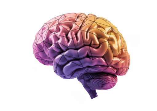 Geometric brain with pink orange and purple gradient isolated on a transparent background