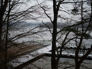 Snow-Dusted Wooden Piers Seen Through Bare Winter Trees Overlooking a Calm Lake, Creating a Moody and Atmospheric Seasonal Landscape With Soft Overcast Light
