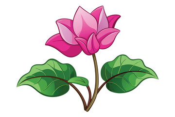 Fototapeta premium Illustrated pink lotus flower blooms with bold green leaves against a pure white backdrop