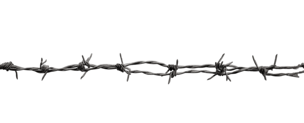 Barbed wire section with sharp points isolated on a transparent background
