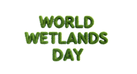 World wetlands day text made of plants isolated on transparent background