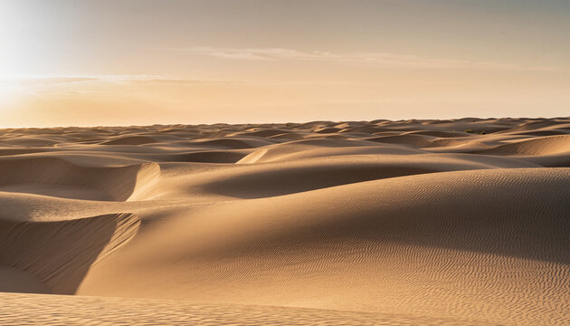 Vast desert sand dunes under a soft golden sky.