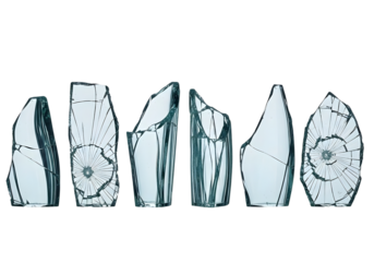 Collection of ammonite fossils isolated on transparent background