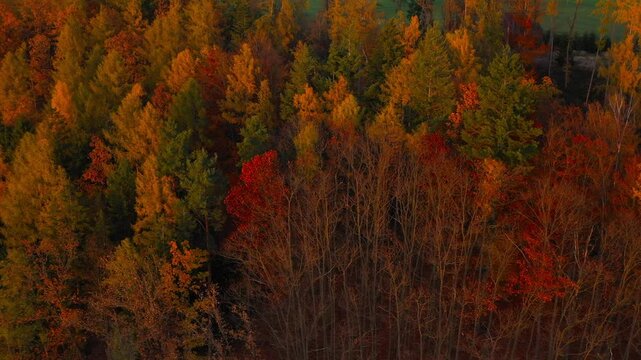 Drone flight over the South Bohemian landscape at the end of October. Colorful harmony of nature in autumn. Czech Republic, Central Europe.