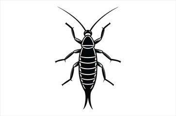 A detailed black and white illustration of a cricket showcasing its anatomy