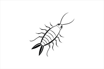 A simple black and white illustration of an earwig insect on a white background