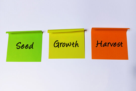 A visual guide to the natural and business progression, highlighting initial seed, active growth, and eventual harvest stages