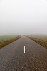 road for cars in December in cloudy weather, the road and fog in the distance that obscures visibility, yellow grass and shrubs without foliage grow along the road