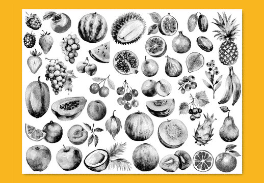 Vector watercolor painted style - fresh fruits clipart with stipple noise texture effect