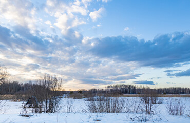 Snowy field with a few trees and a cloudy sky
