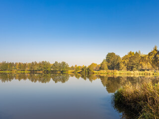 Calm lake with trees in the background