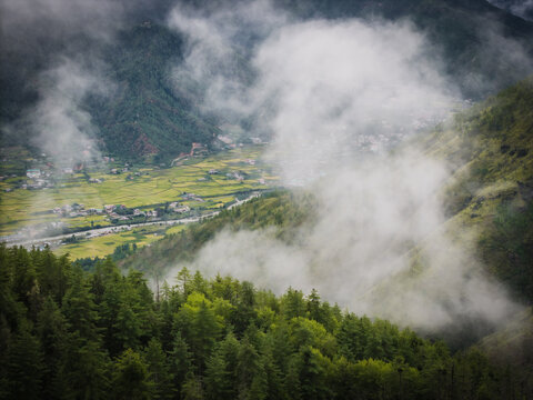 Aerial view of a valley shrouded in mist, where vibrant green rice paddies meet the dense forests, Paro, Bhutan.