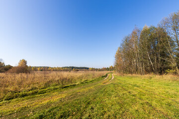 Field with a road running through it and trees in the background