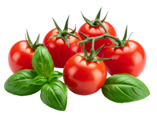 Cherry tomatoes with basil leaves isolated on white presented as a fresh vibrant food ingredient arrangement ideal for cooking inspiration, culinary designs, healthy meal visuals, and clean minimal pr