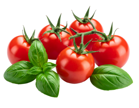 Cherry tomatoes with basil leaves isolated on white presented as a fresh vibrant food ingredient arrangement ideal for cooking inspiration, culinary designs, healthy meal visuals, and clean minimal pr