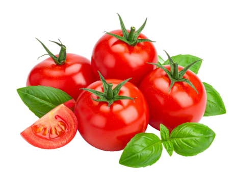 Cherry tomatoes with basil leaves isolated on white presented as a fresh vibrant food ingredient arrangement ideal for cooking inspiration, culinary designs, healthy meal visuals, and clean minimal pr