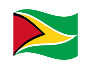 Minimalist wavy style Guyana flag symbol