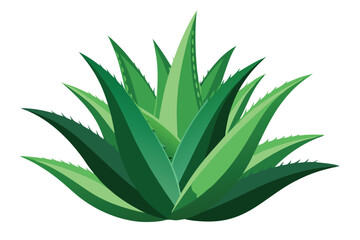 Spiky green aloe vera plant showcases its textured leaves in a vibrant composition