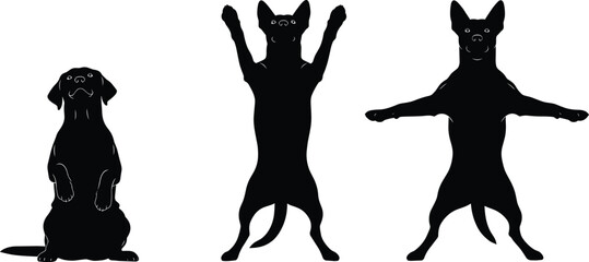 Set of three unique black dog silhouettes in funny upright and begging poses, demonstrating trained obedience, humor, trick performance, and playful animal behavior vector illustration © MstShahanaz
