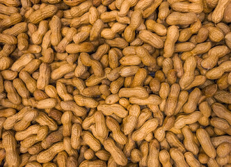 Close-up with a large quantity of peanuts in their shells