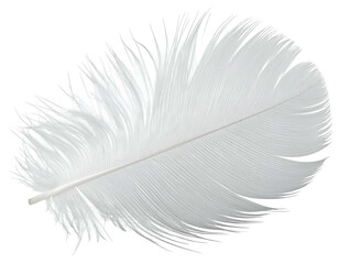 Fototapeta premium Delicate white feather floats gently, soft and ethereal