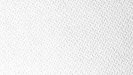 Paper texture overlay background PNG transparent. Opacity or screen mode usage for overlay