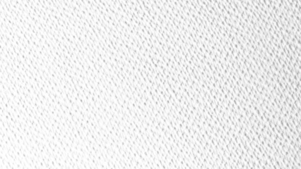 Paper texture overlay background PNG transparent. Opacity or screen mode usage for overlay