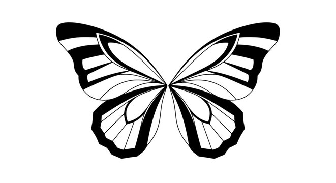 Vector of butterfly wings, geometric shapes, symmetrical design, isolated, clean stroke