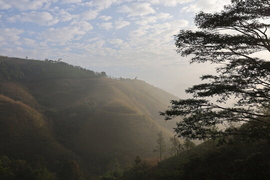 Morning in the Vagamon