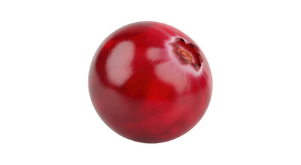 Fototapeta premium Single Ripe Red Cranberry with Stem Indentation isolated on a transparent background