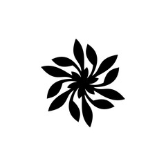 black and white flower isolated