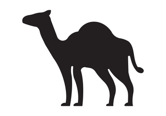 camel vector illustration
