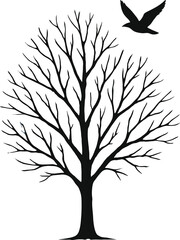 silhouette of tree with roots