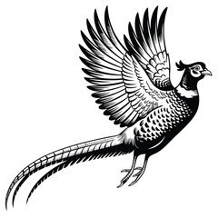 Detailed black and white illustration of a pheasant in flight